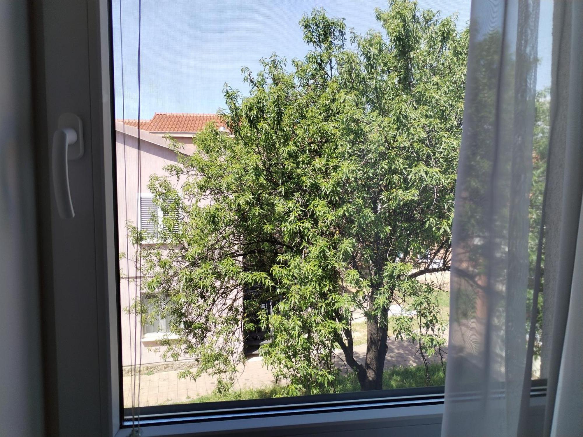 Family Apartment B&B Biograd Na Moru Exterior foto